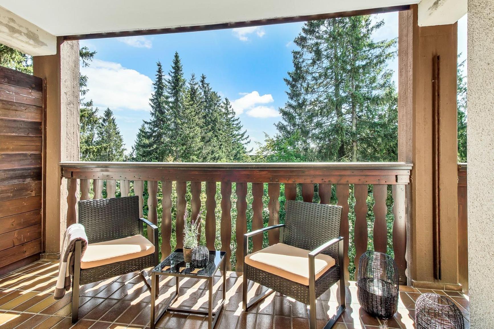 2 Bedroom Apartment Tokio And Sauna, 100M To Ski And Bikepark Winterberg Bagian luar foto